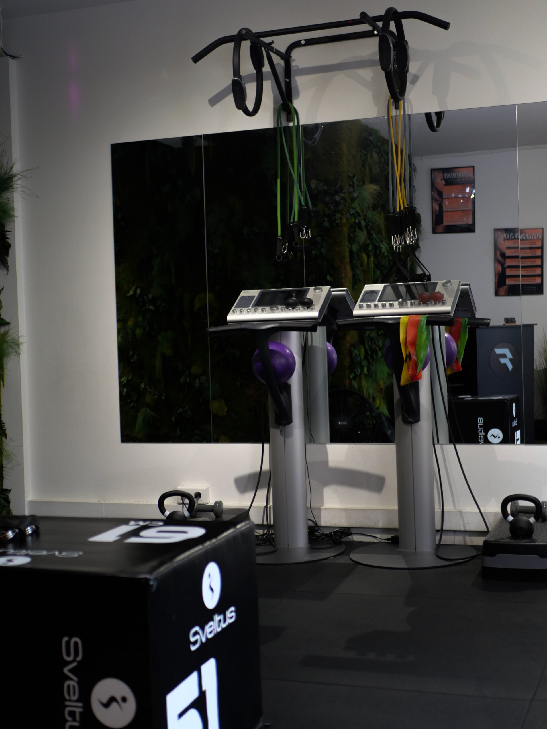 Espace EMS MIHA BODYTEC