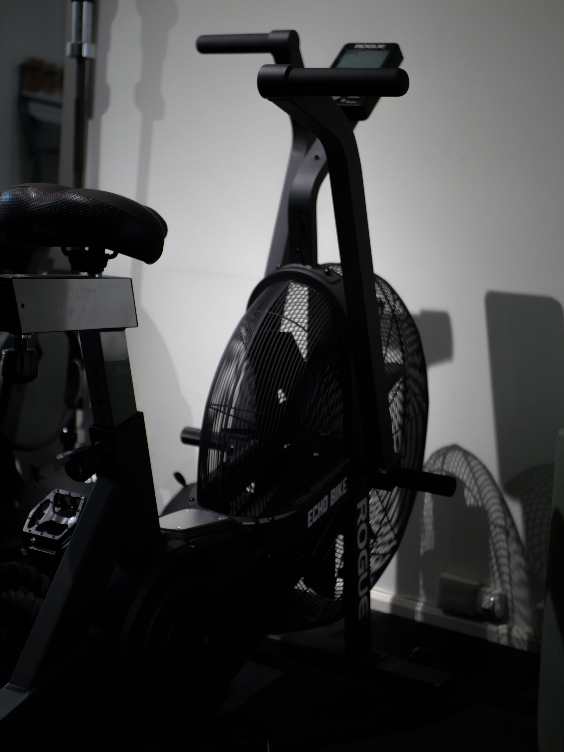 Echo Bike Rogue